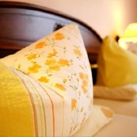 Restaurant Alexandros 호텔 2*